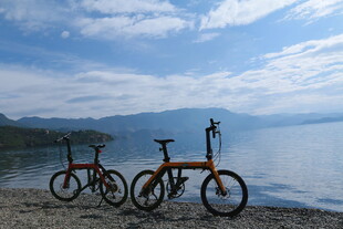 湖畔双车伴美景