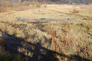 秋日荒野中的静谧小河