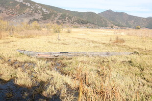 秋日旷野中的蜿蜒小溪