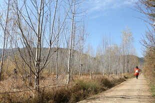 徒步者穿行于荒野小道