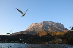 山巅飞鸟 自然美景如画