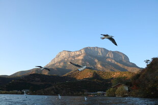 山巅飞鸟与宁静水域