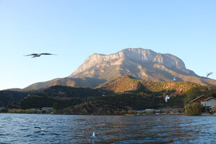 湖畔山峦飞鸟美景