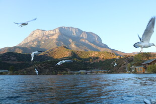湖畔飞鸟伴远山美景