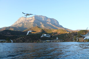 湖畔飞鸟伴远山美景