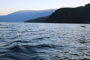 湖畔黄昏 水波荡漾之景
