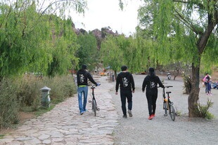 春日小路骑行漫步场景