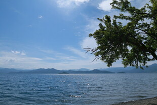 湖畔美景 绿树蓝天映碧波