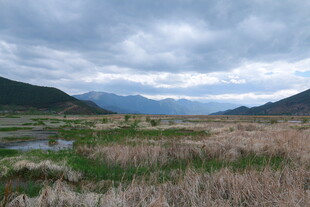草原湿地与远方山峦风景