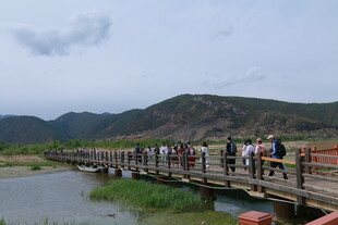 桥上游客赏山水美景