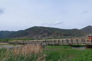 山间木桥旁的自然景致