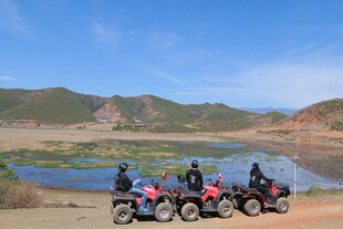 四人驾驶沙滩车驰骋户外