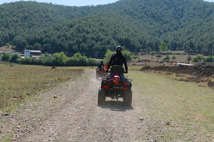 田野间的四轮摩托骑行