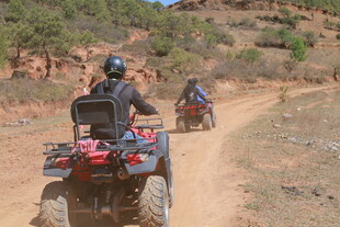 四人骑行于山间越野小道
