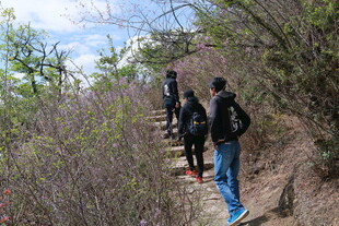 山间徒步的人群