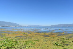 湖畔风光 自然美景如画