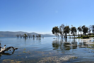 湖畔水畔树木倒影风景图