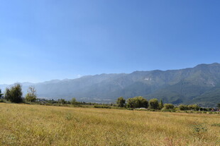 广袤田野与远处山峦风光