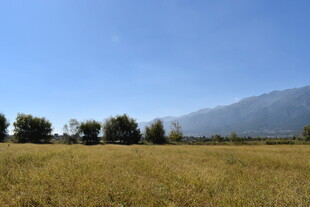 广袤田野与远处山峦景色