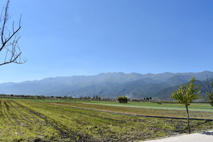 田园风光 远山近景绿意浓