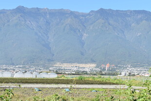 远山近景下的开阔景致