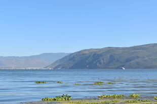 宁静湖景与远山