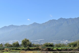 远山近景田园风光美景