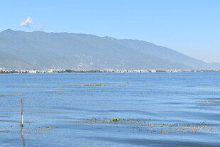 宁静湖水与远处山峦