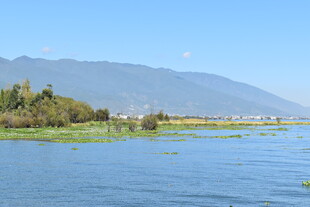 湖畔青山绿水美景如画