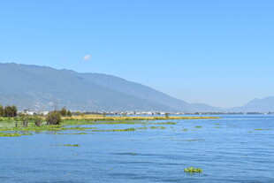 湖畔青山绿水美景如画
