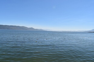 宁静广阔的湖面风光