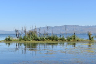 宁静湖中小岛风光