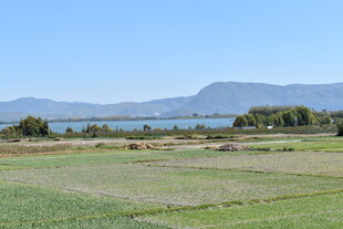 田园湖畔风光如画