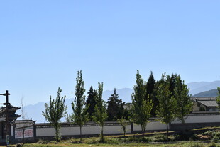 中式园林景观 绿树环绕