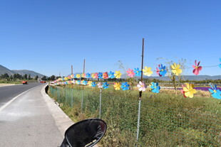 路边多彩风车装饰风景线