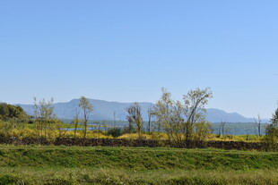 田园风光中的远山景色