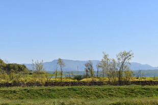 田园风光 远山近树美景