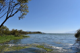 湖畔风光 水波绿树蓝天