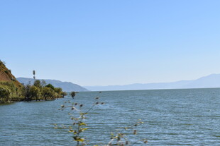 湖畔风光 宁静水域景色