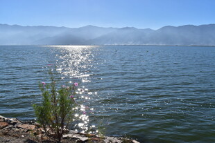 湖畔晨光 波光粼粼的美景