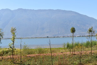 湖畔田园风光 远山近景