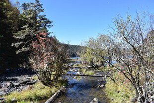 山间溪流畔的秋日景致