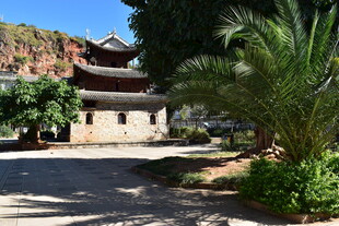 古雅建筑旁的绿植景致