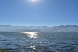 阳光下波光粼粼的宁静湖水