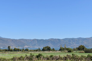 田园风光中的远山美景