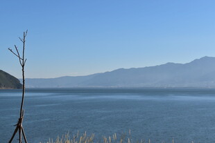 湖畔孤枝 远山碧水蓝天