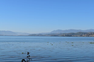 湖畔戏水的惬意时光