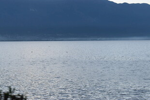 宁静湖面与远处山峦