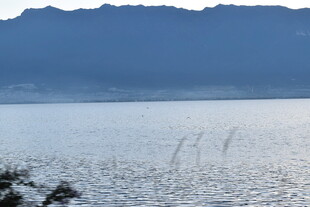 宁静湖面与远处山峦