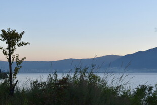 湖畔黄昏景 孤树映远山